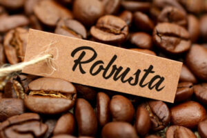 Cà phê nguyên chất Robusta