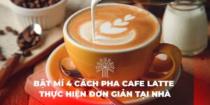 cách pha latte cách pha latte đá
